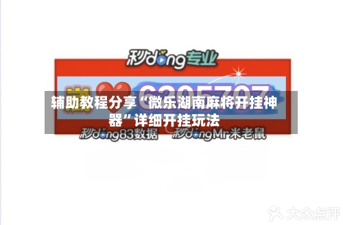 辅助教程分享“微乐湖南麻将开挂神器”详细开挂玩法-第2张图片