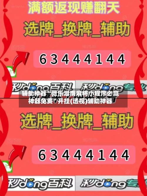 辅助神器“微乐湖南麻将小程序必赢神器免费”开挂(透视)辅助神器-第2张图片