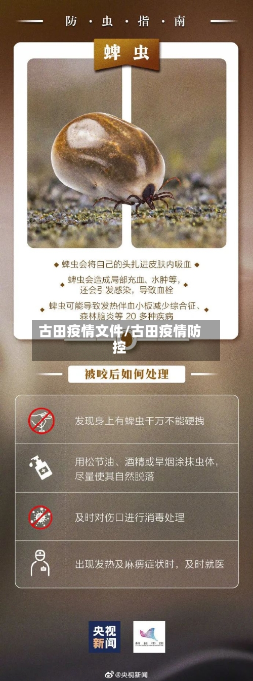 古田疫情文件/古田疫情防控-第1张图片
