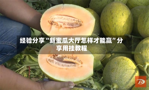 经验分享“新蜜瓜大厅怎样才能赢	”分享用挂教程-第2张图片