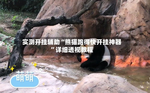 实测开挂辅助“熊猫跑得快开挂神器”详细透视教程