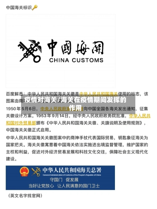 疫情对海关/海关在疫情期间发挥的作用