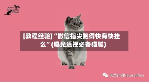 [教程经验]“微信指尖跑得快有快挂么”(曝光透视必备猫腻)-第3张图片