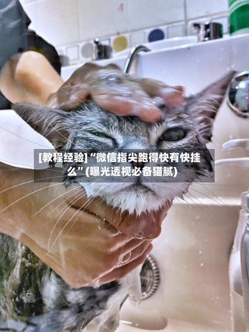 [教程经验]“微信指尖跑得快有快挂么”(曝光透视必备猫腻)