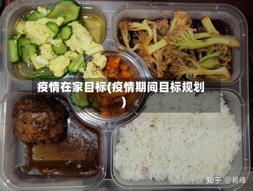 疫情在家目标(疫情期间目标规划)-第2张图片
