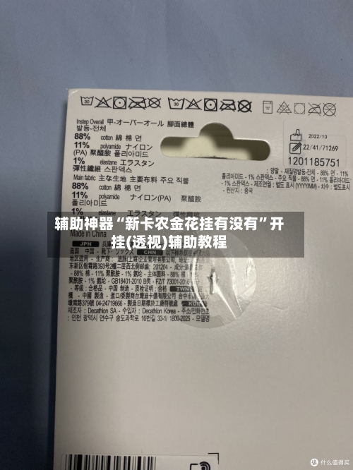 辅助神器“新卡农金花挂有没有”开挂(透视)辅助教程-第3张图片