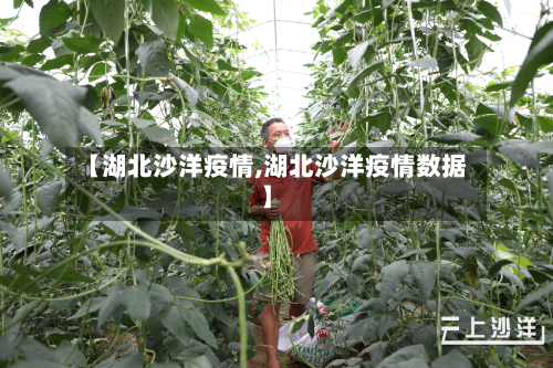 【湖北沙洋疫情,湖北沙洋疫情数据】-第3张图片