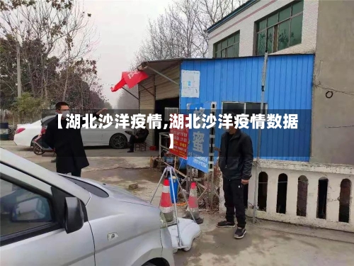【湖北沙洋疫情,湖北沙洋疫情数据】