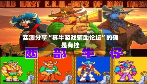 实测分享“真牛游戏辅助论坛	”的确是有挂-第2张图片