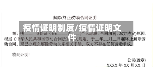 疫情证明制度/疫情证明文件