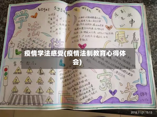 疫情学法感受(疫情法制教育心得体会)-第1张图片