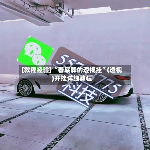 [教程经验] “看底牌的透视挂”(透视)开挂详细教程-第2张图片