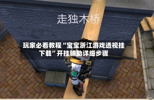 玩家必看教程“宝宝浙江游戏透视挂下载”开挂辅助详细步骤-第1张图片