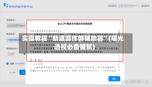 实操教程“新道游作弊辅助器”(曝光透视必备猫腻)