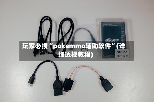 玩家必搜“pokemmo辅助软件”(详细透视教程)