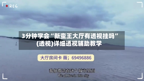3分钟学会“新蛮王大厅有透视挂吗”(透视)详细透视辅助教学