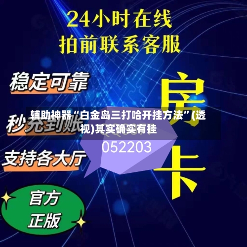 辅助神器“白金岛三打哈开挂方法”(透视)其实确实有挂-第2张图片