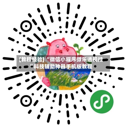 [教程经验] “微信小程序微乐透视挂”科技辅助神器手机版教程