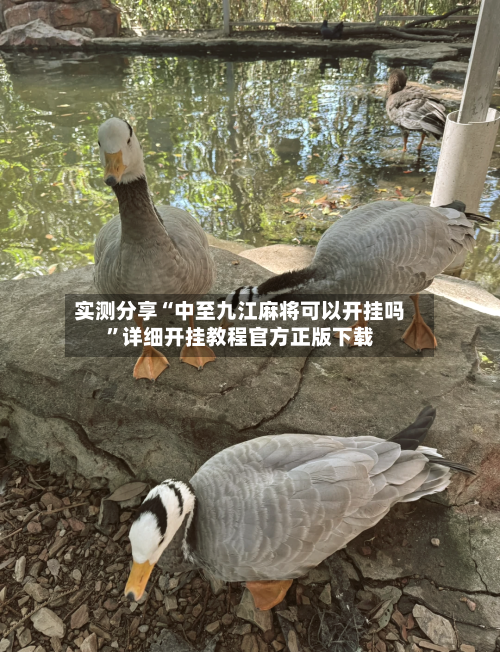 实测分享“中至九江麻将可以开挂吗	”详细开挂教程官方正版下载-第2张图片