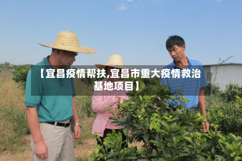 【宜昌疫情帮扶,宜昌市重大疫情救治基地项目】-第2张图片
