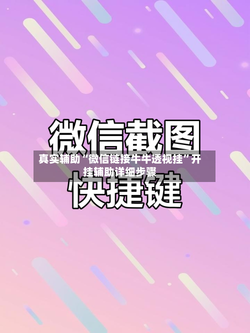 真实辅助“微信链接牛牛透视挂”开挂辅助详细步骤