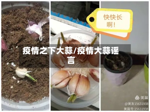 疫情之下大蒜/疫情大蒜谣言