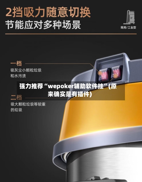 强力推荐“wepoker辅助软件挂”(原来确实是有插件)