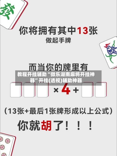 教程开挂辅助“微乐湖南麻将开挂神器”开挂(透视)辅助神器-第3张图片