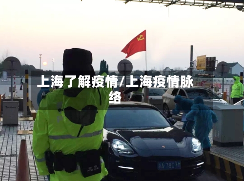 上海了解疫情/上海疫情脉络