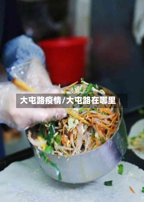 大屯路疫情/大屯路在哪里-第1张图片