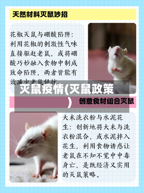 灭鼠疫情(灭鼠政策)-第1张图片