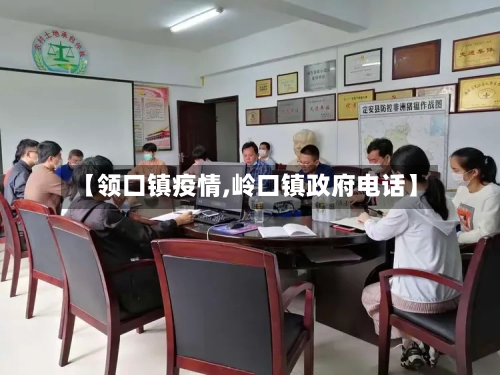 【领口镇疫情,岭口镇政府电话】-第2张图片