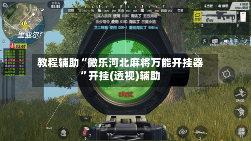 教程辅助“微乐河北麻将万能开挂器”开挂(透视)辅助-第2张图片