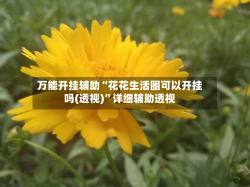 万能开挂辅助“花花生活圈可以开挂吗(透视)”详细辅助透视-第2张图片