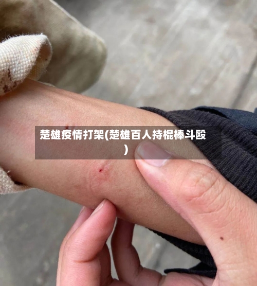 楚雄疫情打架(楚雄百人持棍棒斗殴)-第3张图片
