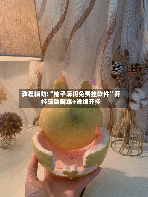 教程辅助!“柚子麻将免费挂软件”开挂辅助脚本+详细开挂-第2张图片