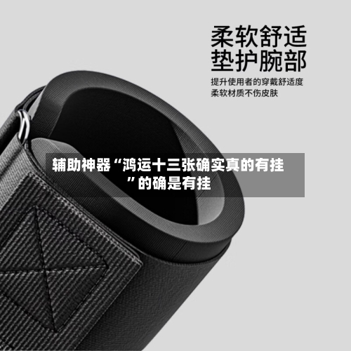 辅助神器“鸿运十三张确实真的有挂”的确是有挂-第1张图片