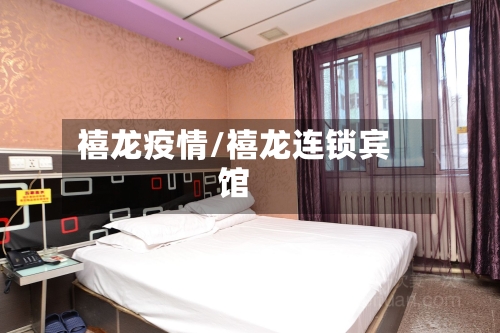 禧龙疫情/禧龙连锁宾馆-第1张图片