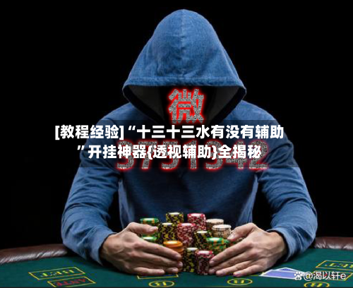 [教程经验]“十三十三水有没有辅助	”开挂神器{透视辅助}全揭秘-第2张图片