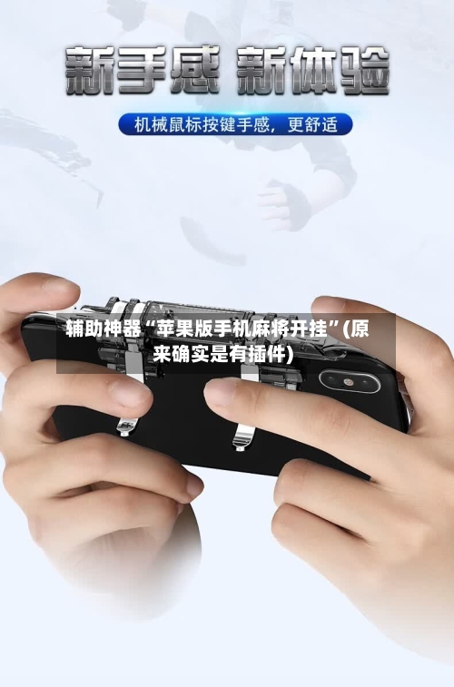 辅助神器“苹果版手机麻将开挂”(原来确实是有插件)-第1张图片