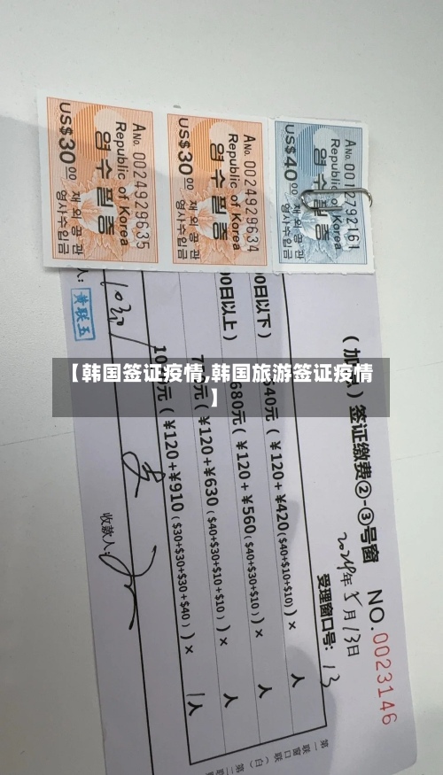 【韩国签证疫情,韩国旅游签证疫情】-第2张图片