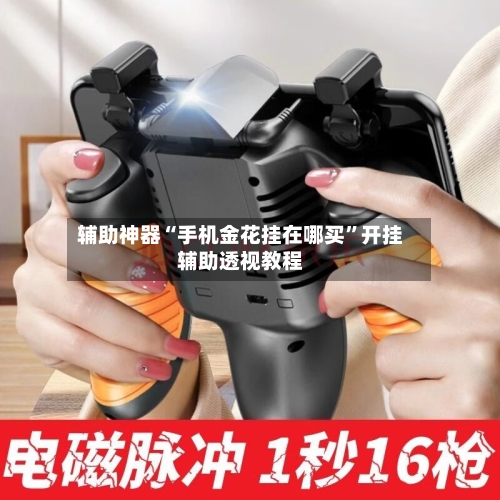 辅助神器“手机金花挂在哪买	”开挂辅助透视教程-第2张图片