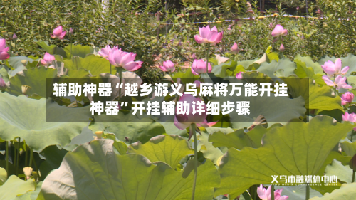 辅助神器“越乡游义乌麻将万能开挂神器”开挂辅助详细步骤