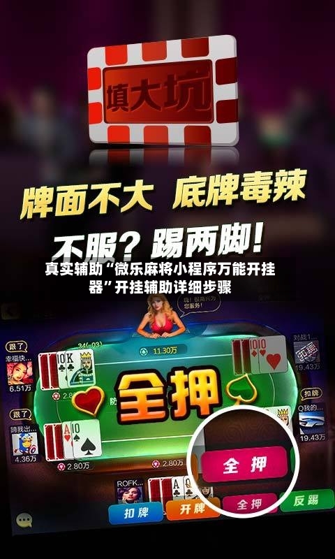 真实辅助“微乐麻将小程序万能开挂器”开挂辅助详细步骤-第2张图片