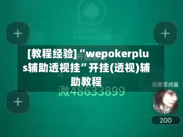 [教程经验]“wepokerplus辅助透视挂”开挂(透视)辅助教程