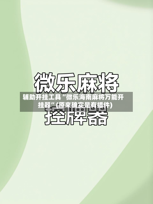 辅助开挂工具“微乐海南麻将万能开挂器”(原来确实是有插件)