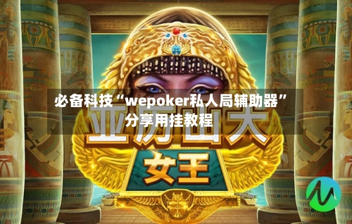 必备科技“wepoker私人局辅助器	”分享用挂教程-第2张图片