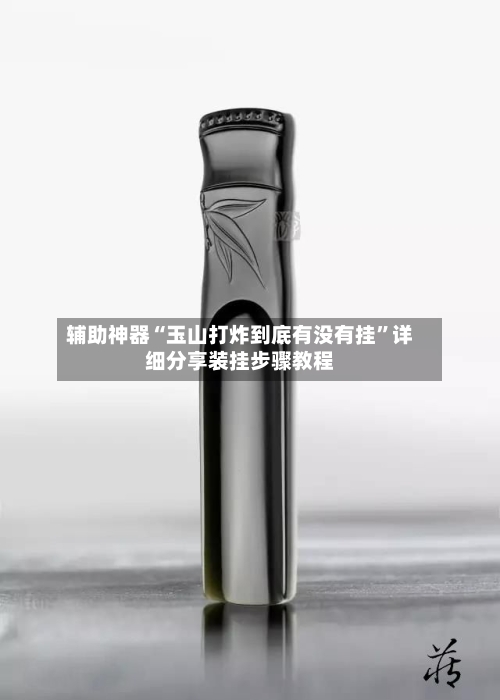 辅助神器“玉山打炸到底有没有挂”详细分享装挂步骤教程-第2张图片