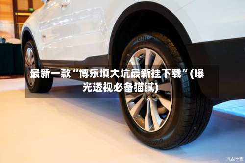 最新一款“博乐填大坑最新挂下载”(曝光透视必备猫腻)