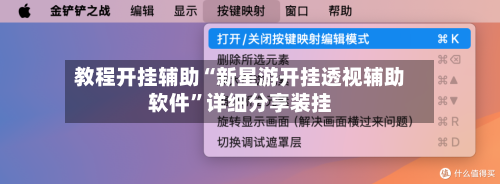 教程开挂辅助“新星游开挂透视辅助软件”详细分享装挂-第2张图片